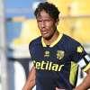 Immagine news 52