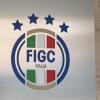 Figc, confermato in blocco il Consiglio Federale