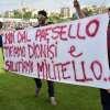 Immagine news 50