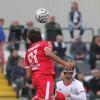UFFICIALE - Cremonese, Gabbiani passa al Livorno