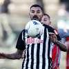 Immagine news 11