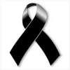Immagine news correlata n.2