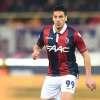 Immagine news 14