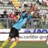 Immagine news 11