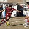 Immagine news 12