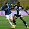 Immagine news correlata n.2