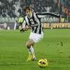 Immagine news 19