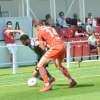 Immagine news 43