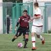 Immagine news 4