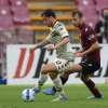 Immagine news 5