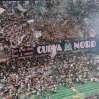 Immagine news 5