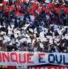 Immagine news 5