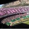 Immagine news 38