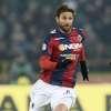 Immagine news 12