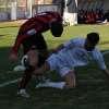 Immagine news 14