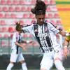 Immagine news 1