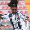 Immagine news 1