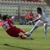 Immagine news 51