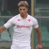 ESCLUSIVA TB - Schira: "Cesena, in programma incontro con la Fiorentina per Caprini"...