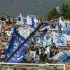 Immagine news 50