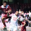 Immagine news 2