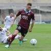 Immagine news 2