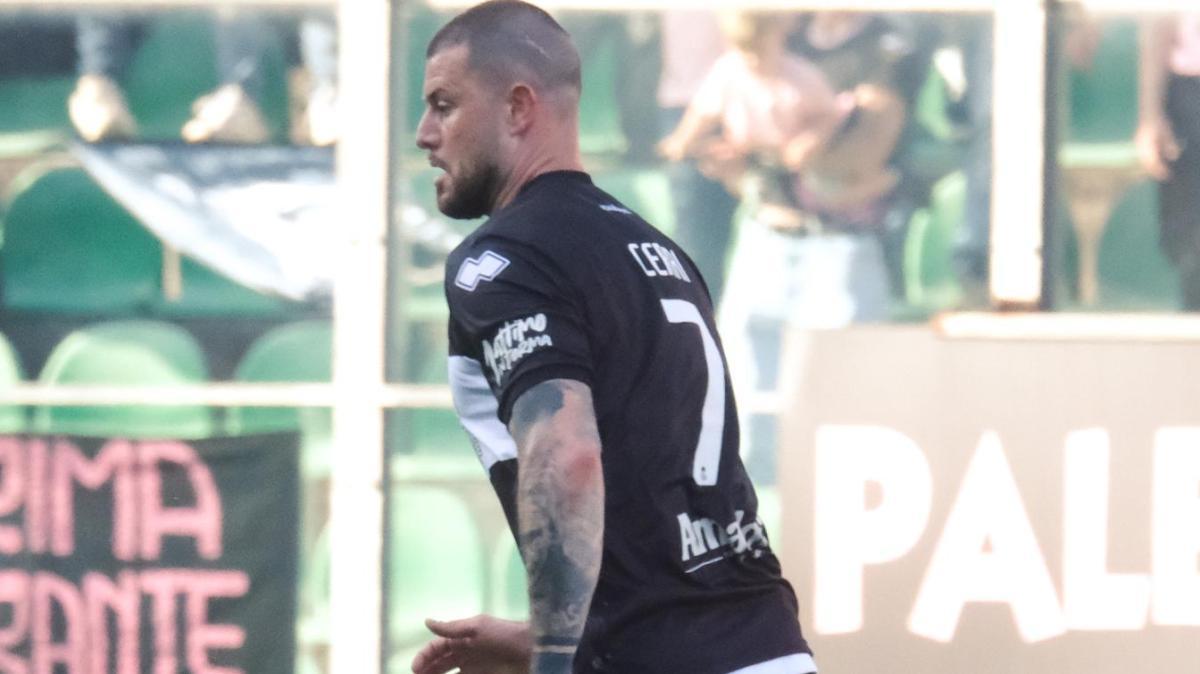 UFFICIALE . Arezzo, Cerri è amaranto
