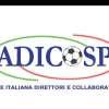 Immagine news 19