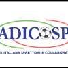 Immagine news 43