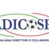 Immagine news 17