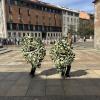 Immagine news 1