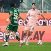 Palermo, Le Douaron verso l'addio? Il Troyes vuole riportarlo in Francia