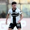 Australia, Circati: "L'assenza di Pulisic non cambierà molto: gli Stati Uniti restano...