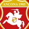 UFFICIALE: Ancona, prelevato Mattioli dal Sassuolo. L'attaccante arriva a titolo...