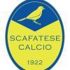 Ancora una conferma per l'attacco della Scafatese. Prolungato il contratto di Palmieri...
