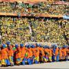 Immagine news 19