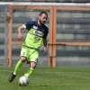 Avellino, l'ex D'Angelo: "Annata fantastica, punterà alla Serie A in due o tre anni"...