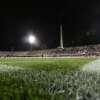 Fiorentina, cresce il restyling del Franchi: curva Fiesole migliorata, i prossimi...