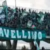 Avellino, spunta Vasic per la trequarti: contatti avviati con il Palermo