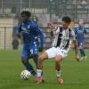 Immagine news 5