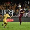 Arezzo, Coppolaro: "Promozione in B meritata. Ai playoff tifo Salernitana"