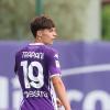 Alcione Milano, Niccolò Trapani arriva in prestito annuale dalla Fiorentina