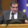 Il prof. Sandulli e le indagini sugli ultras: "Le curve sono diventate terra di nessuno"...