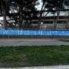 Pescara, Nardini: "Vittoria meritata, ho visto una squadra convinta. Ora stesso spirito...