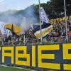 Juve Stabia, l'Amministrazione Giudiziaria: "Mai usati crediti Domus per l'iscrizione"...
