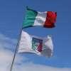 Immagine news 1