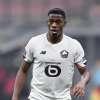 Juventus all'esame Lille, il proprietario: "Voglio convincere David a rinnovare e...