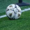 La Serie B 2026/27 nascerà ad Ascoli: il 22 luglio i calendari del 95° campionato...