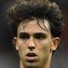 Joao Felix sfumato, l'ex tecnico del Benfica: "Voleva tornare, dal Chelsea richieste...