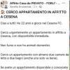 Immagine news 1
